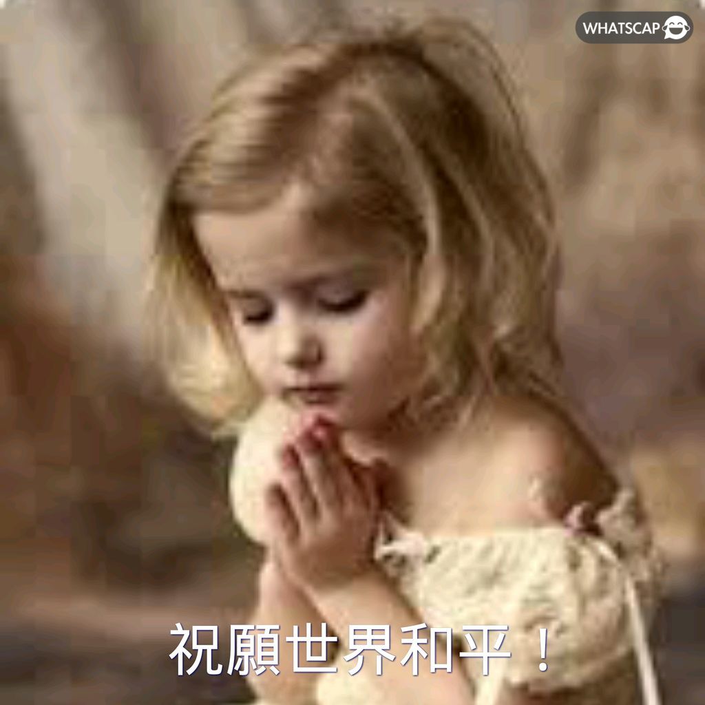 合金装备,背后的秘密,终揭露,2026世足,2026世足運彩分析,2026世足旅遊攻略,世界杯赛程,世界杯门票