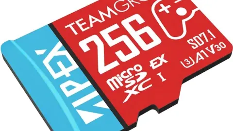 “狗狗也追求自我认同？揭秘欧洲前所未有的“犬界自我革命”现象！”